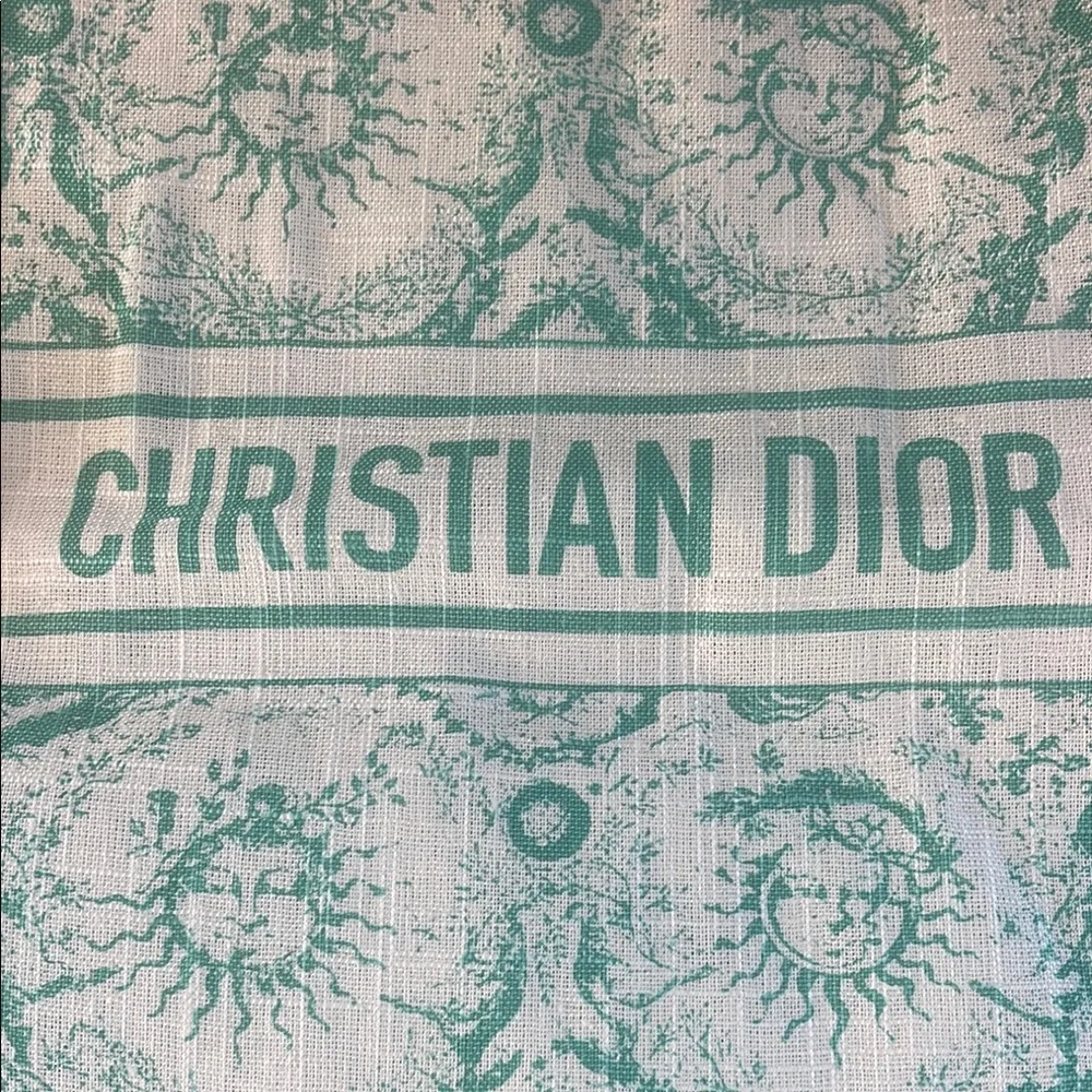 NWOT Dior Tote Bag in Mint Green and White